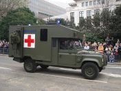 086.jpg - 2010:11:13 11:41:57