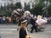 114.jpg - 2010:11:13 11:50:00