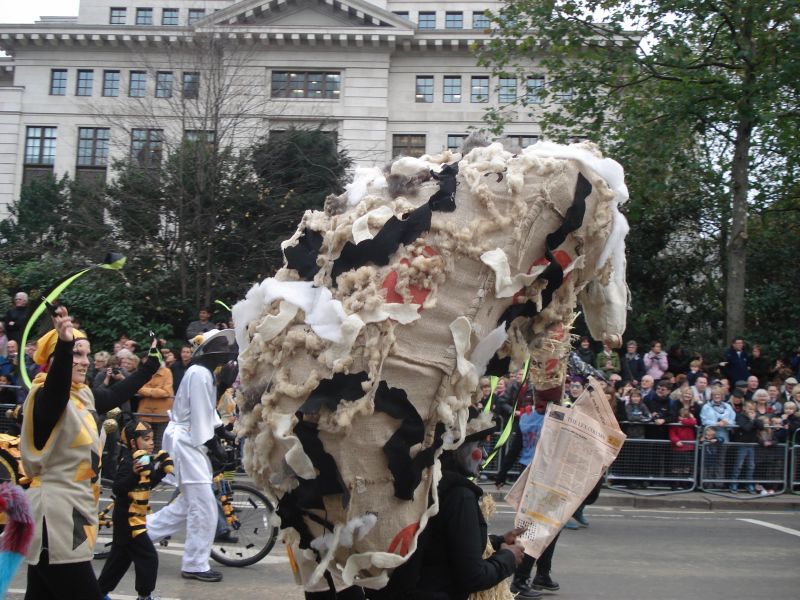 Viewing photos→2010→2010-11-13→115