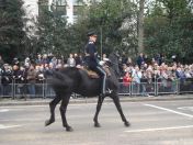 124.jpg - 2010:11:13 11:51:39