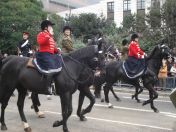 126.jpg - 2010:11:13 11:51:54