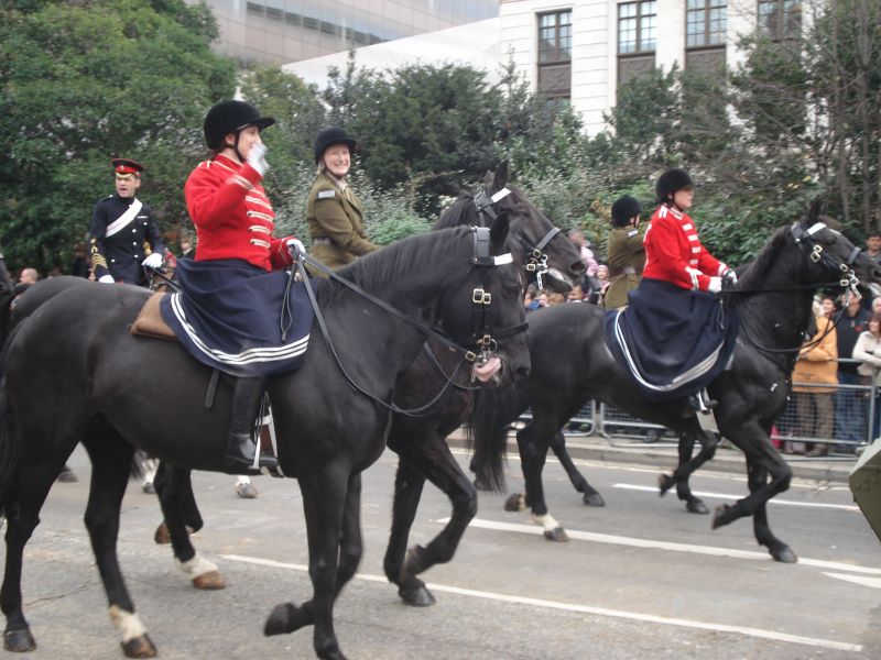 Viewing photos→2010→2010-11-13→126