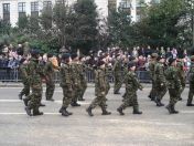 128.jpg - 2010:11:13 11:52:33