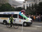 130.jpg - 2010:11:13 11:52:53