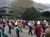 158.jpg - 2010:11:13 11:58:54