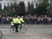 160.jpg - 2010:11:13 11:59:35