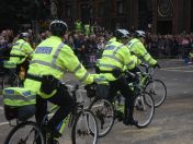 161.jpg - 2010:11:13 11:59:42