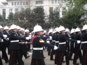 168.jpg - 2010:11:13 12:01:56