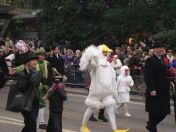 223.jpg - 2010:11:13 12:14:50