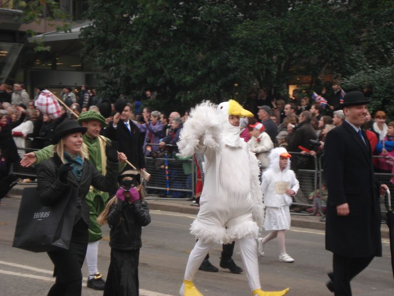 Viewing photos→2010→2010-11-13→223