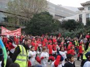 228.jpg - 2010:11:13 12:15:46