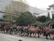 233.jpg - 2010:11:13 12:16:41