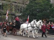 236.jpg - 2010:11:13 12:17:41