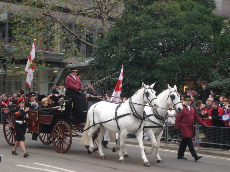 Viewing photos→2010→2010-11-13→236