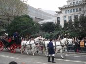 237.jpg - 2010:11:13 12:17:55