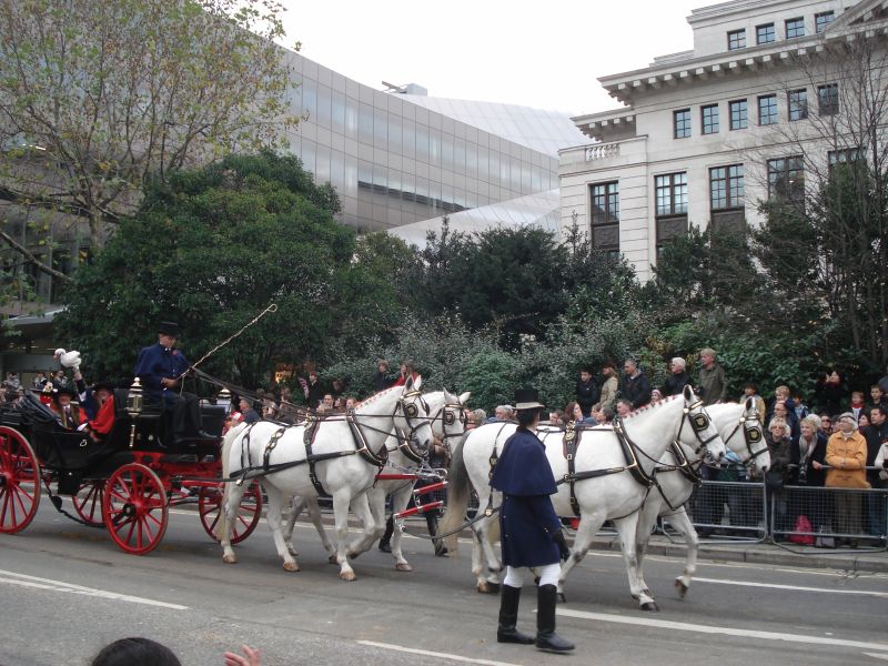 Viewing photos→2010→2010-11-13→237