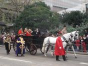 242.jpg - 2010:11:13 12:20:06