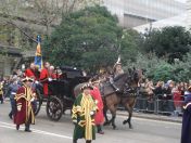 243.jpg - 2010:11:13 12:20:21