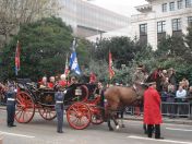 245.jpg - 2010:11:13 12:21:09