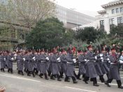 249.jpg - 2010:11:13 12:22:06