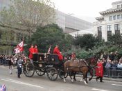 251.jpg - 2010:11:13 12:22:47