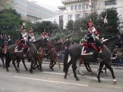 255.jpg - 2010:11:13 12:23:28