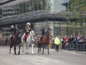 256.jpg - 2010:11:13 12:24:39