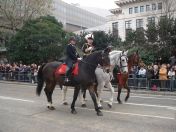 257.jpg - 2010:11:13 12:24:50