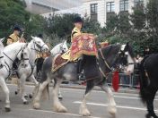 259.jpg - 2010:11:13 12:25:05