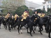 260.jpg - 2010:11:13 12:25:13