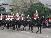 261.jpg - 2010:11:13 12:25:22