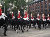 262.jpg - 2010:11:13 12:25:41