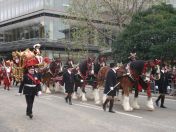 265.jpg - 2010:11:13 12:26:02