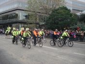 275.jpg - 2010:11:13 12:28:35