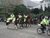 276.jpg - 2010:11:13 12:28:46