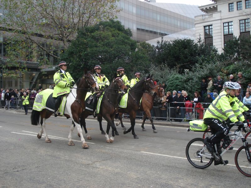 Viewing photos→2010→2010-11-13→276