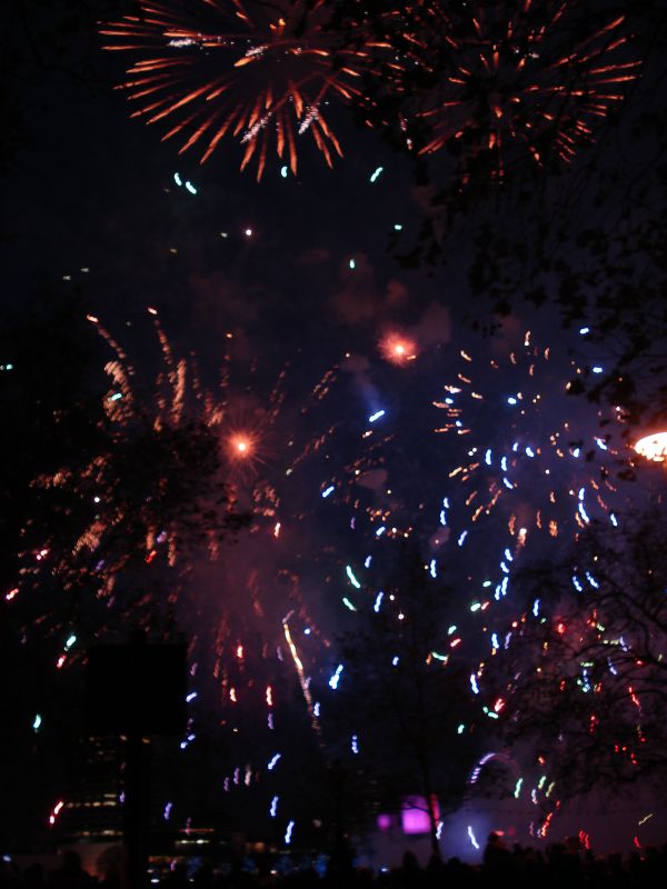 Viewing photos→2010→2010-11-13→304