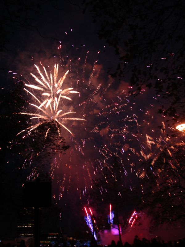 Viewing photos→2010→2010-11-13→305