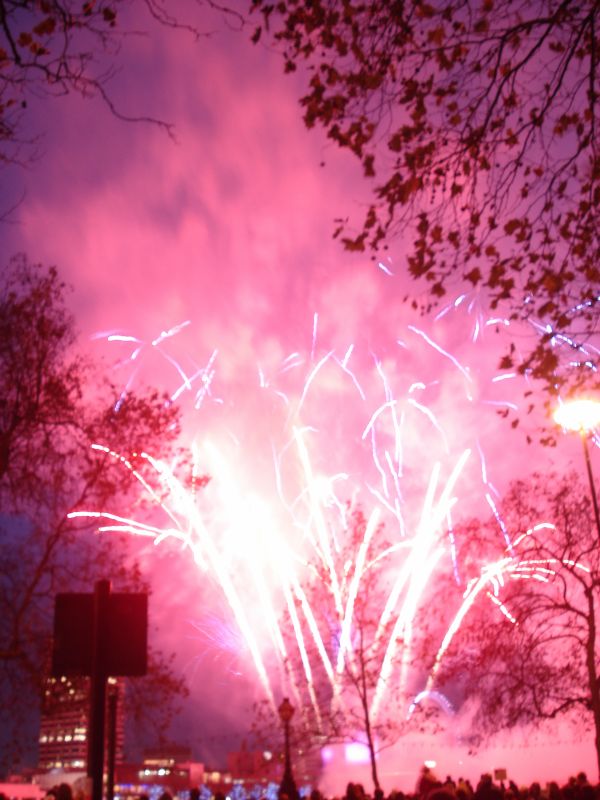 Viewing photos→2010→2010-11-13→306