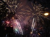 309.jpg - 2010:11:13 16:59:39