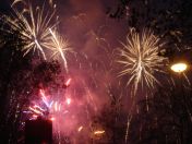 310.jpg - 2010:11:13 16:59:45