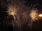 311.jpg - 2010:11:13 16:59:56