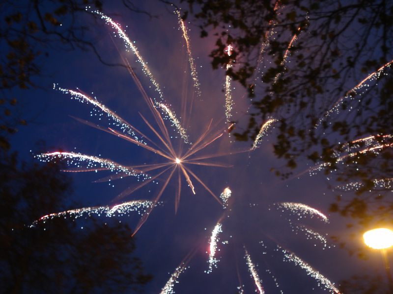 Viewing photos→2010→2010-11-13→313