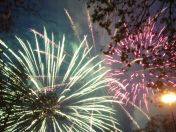 314.jpg - 2010:11:13 17:01:07