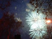 315.jpg - 2010:11:13 17:01:22