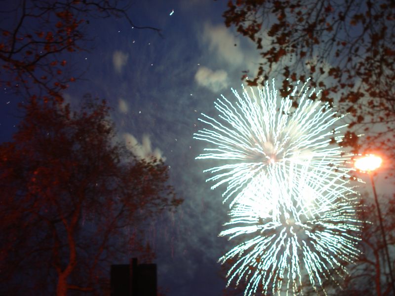 Viewing photos→2010→2010-11-13→315