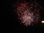 316.jpg - 2010:11:13 17:01:59