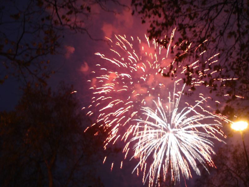 Viewing photos→2010→2010-11-13→317