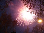 318.jpg - 2010:11:13 17:02:23