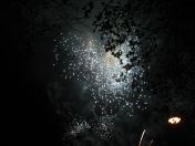 320.jpg - 2010:11:13 17:03:19